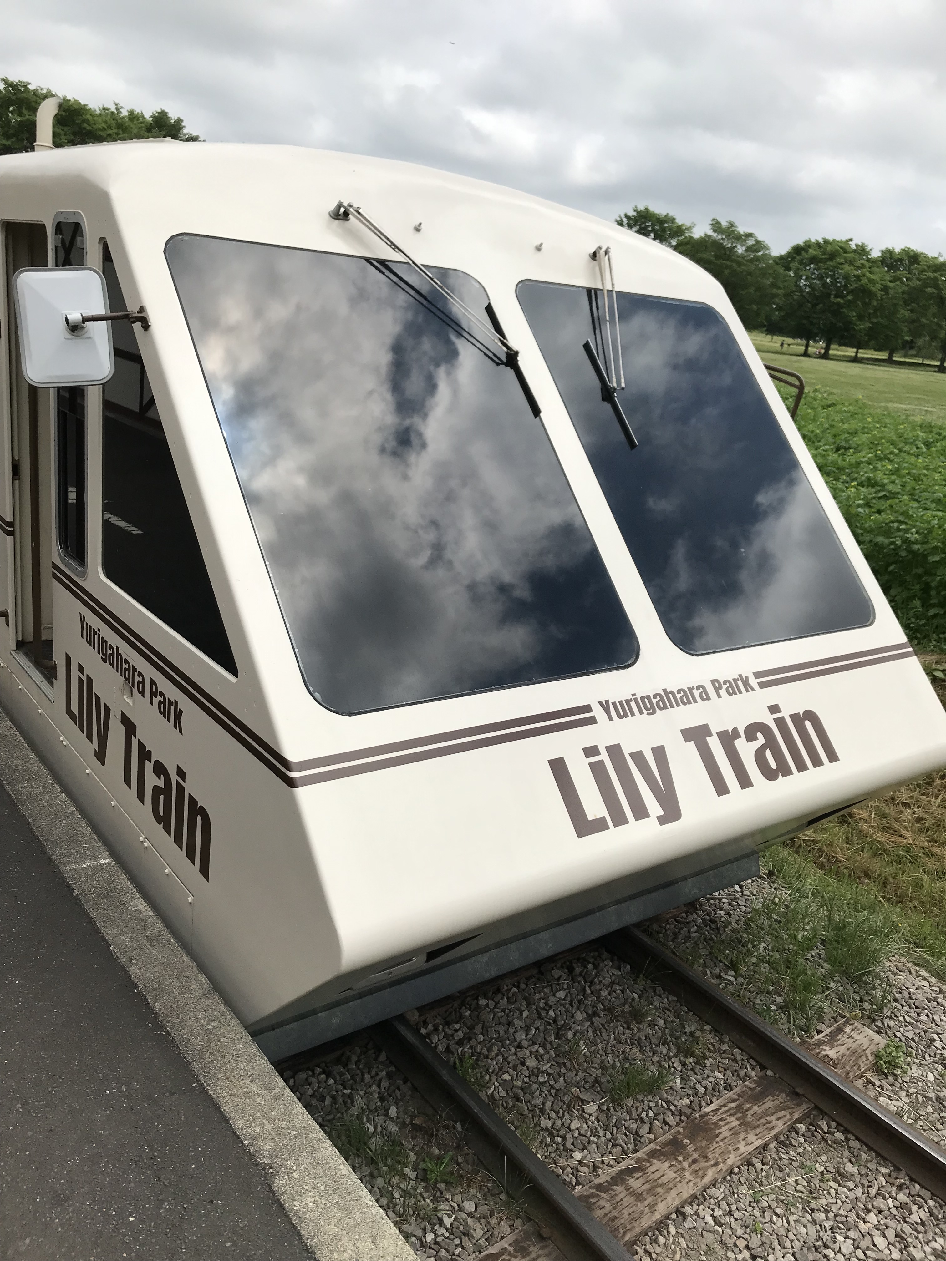 Lilly Train.JPG
